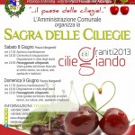 locandina sagra 2013