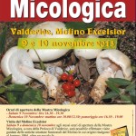 mostra micologica 2013-1