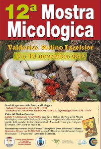 mostra micologica 2013-1